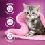 WHISKAS Junior - Nourriture en gelée de volaille avec : poulet, dinde, volaille, canard pour chaton - 48x85g
