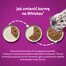 WHISKAS Junior - Nourriture en gelée de volaille avec : poulet, dinde, volaille, canard pour chaton - 48x85g