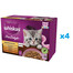 WHISKAS Junior - Nourriture en gelée de volaille avec : poulet, dinde, volaille, canard pour chaton - 48x85g