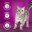WHISKAS Junior - pour chatons nourriture humide avec du poulet en gelée - sachet 28x85g