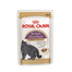 ROYAL CANIN British Shorthair -  nourriture humide en sauce pour chats adultes British Shorthair - 24x85 g