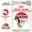 ROYAL CANIN Instinctive - Nourriture humide pour chats adultes difficiles - 48x85 g