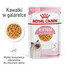 ROYAL CANIN Instinctive Kitten - Nourriture humide pour chatons jusqu'à 12 mois - 24x85 g