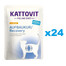 KATTOVIT Feline Diet Recovery Chicken Aliments humides au poulet pour chats convalescents 24x85 g