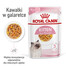 ROYAL CANIN Instinctive Kitten Aliment humide pour chatons jusqu'à 12 mois 48x85 g