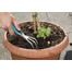 GARDENA City gardening Boîte à outils pour le jardinage en balcon