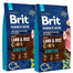 BRIT Premium By Nature Sensitive Lamb - Agneau pour chiens avec tube digestif sensible - 2 x 8 kg
