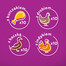 WHISKAS Adult 40x85g Poultry Flavours - nourriture humide pour chats en gelée (avec poulet, canard, volaille, dinde)