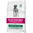 EUKANUBA Veterinary Diets Restricted Calories Adult All Breeds - améliorent le métabolisme des graisses de votre chien - 5 kg