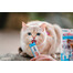 INABA Churu Cat - friandise crémeuse au thon et à la crème pour chats - 56 g