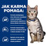 HILL'S PRESCRIPTION DIET c/d Multicare Stress + Metabolic nourriture humide pour chats avec du poulet 12x85g en sachets