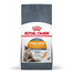ROYAL CANIN Hair&Skin Care Aliment sec pour chats 10 kg + Intense Beauty Aliments humides pour chats en gelée 12x85 g