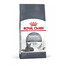 ROYAL CANIN Dental Care Aliments secs pour l'hygiène dentaire des chats 16 kg (2x8 kg)