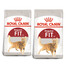 ROYAL CANIN Regular Fit 32 Aliment sec pour chats adultes pour une condition physique idéale 20 kg (2x10 kg)