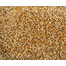 TETRA Pond Variety Sticks - trois sticks différents comme nourriture principale pour tous les poissons de bassin - 4 L