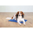 TRIXIE Matelas rafraîchissant 100 x 60 cm bleu