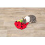 TRIXIE Tapis olfactif pour cavies et lapins, fraise, rouge 33 × 40 cm