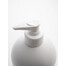 SIMPLY FROM NATURE Salmon oil - Huile de saumon - 500 ML