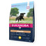 EUKANUBA Developing Junior - Chien Junior de Grande Race Riche en Poulet - 3kg