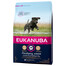 EUKANUBA Developing Junior - Chien Junior de Grande Race Riche en Poulet - 3kg
