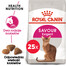 ROYAL CANIN Exigent Savour 35/30 Sensation croquettes pour chats adultes, difficiles, à la texture recherchée 25 x 400g