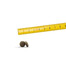 JOSERA MiniDeluxe - pour chiens adultes de petites races - 5 x 900g