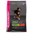EUKANUBA Adult Salmon & Rice All Breeds - Riche en Saumon et orge avec une pointe d'épinard pour chiens de grandes races - 12 kg