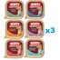 RINTI Gold Mini Saveurs variées pour petites races 18x100 g