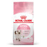 ROYAL CANIN Kitten 3 x 400 g aliments secs pour chatons de 4 à 12 mois