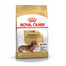 ROYAL CANIN Dachshund adult 0.5 kg nourriture sèche pour chiens teckels adultes