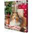 TRIXIE Calendrier de l'Avent pour chiens