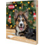 TRIXIE Calendrier de l'Avent pour chiens