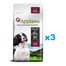 APPLAWS Dog Dry Adult - Poulet & agneau pour petites et moyennes races - 6 kg (3x2 kg)