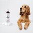 PETS - Shampooing à la camomille pour peaux sensibles - 250 ml