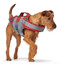 HUNTER Moss S Gilet de sauvetage pour chien 46-55cm rouge