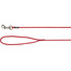 TRIXIE Junior laisse de dressage pour chiots XXS–XS: 8 m/ 4 mm rouge