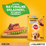 PEDIGREE Junior - sachet de poulet et de riz en gelée pour jeunes chiens - 24x100g