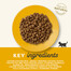 APPLAWS Cat Dry Kitten - Poulet sans céréales pour chatons - 2 kg