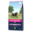 EUKANUBA Puppy Large Breeds Chicken - pour chiots de grandes races avec du poulet frais - 15 kg