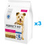 PERFECT FIT Adult 1+ Croquettes complètes pour chiens adultes de petites races, riches en poulet 3x2,6 kg