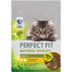 PERFECT FIT Natural Vitality 1+ Croquettes avec poulet et dinde pour chats adultes 650 g