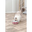 TRIXIE Cat Activity Hide'n'Sniff Bowl jouet éducatif pour chat 18 cm