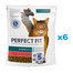 PERFECT FIT Sterile 1+ 6x750 g Croquettes complètes pour chats adultes riches en bœuf
