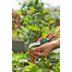 GARDENA Couteau pour herbes et légumes VeggieCut