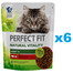 PERFECT FIT Natural Vitality 1+ Croquettes complètes pour chats adultes au bœuf et au poulet 6x650 g