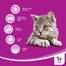 WHISKAS Sterile Adult avec du poulet 1.4kg