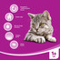 WHISKAS Adult - Nourriture sèche complète pour chats adultes avec du poulet - 7 kg