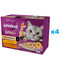 WHISKAS Adult sachet 48x85g Cream Variations nourriture humide pour chats en sauce avec : poulet et légumes, agneau et dinde