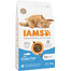 Cat Adult All Breeds ocean fish 3 kg