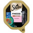 Finesse barquette Nourriture complète humide pour chats adultes avec saumon en mousse 85 g